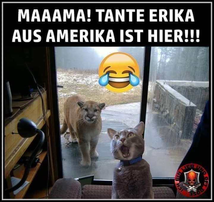 die Tante - ciocia, ciotka, wujenka, stryjenka