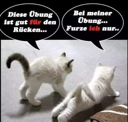 die Übung - ćwiczenie, wprawa, trening, ćwiczenia