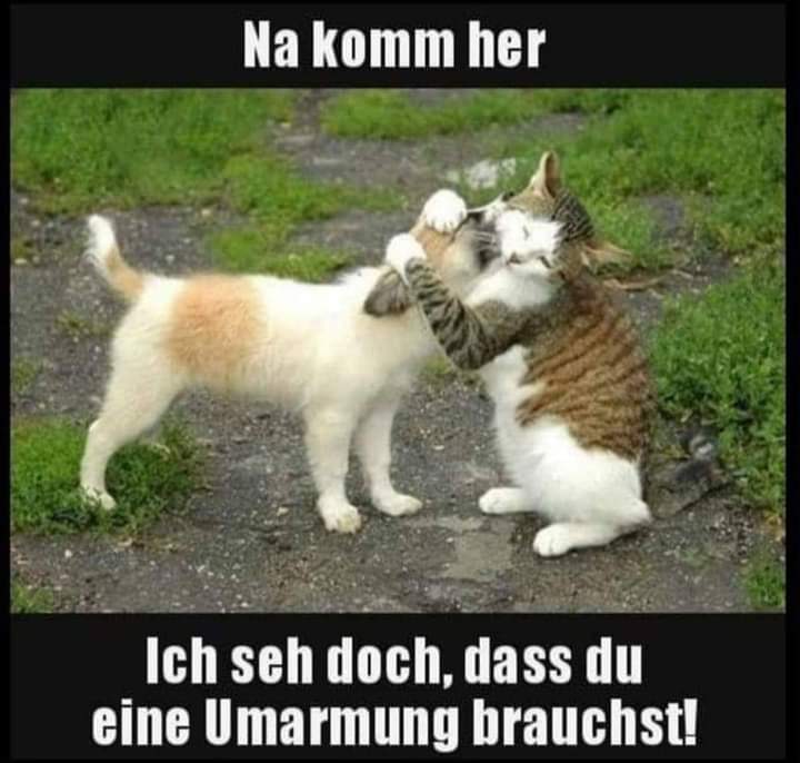 die Umarmung - uścisk, objęcie