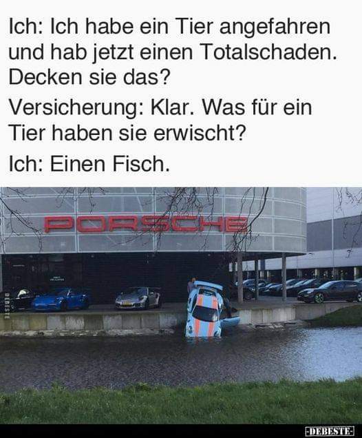 der Totalschaden - szkoda całkowita