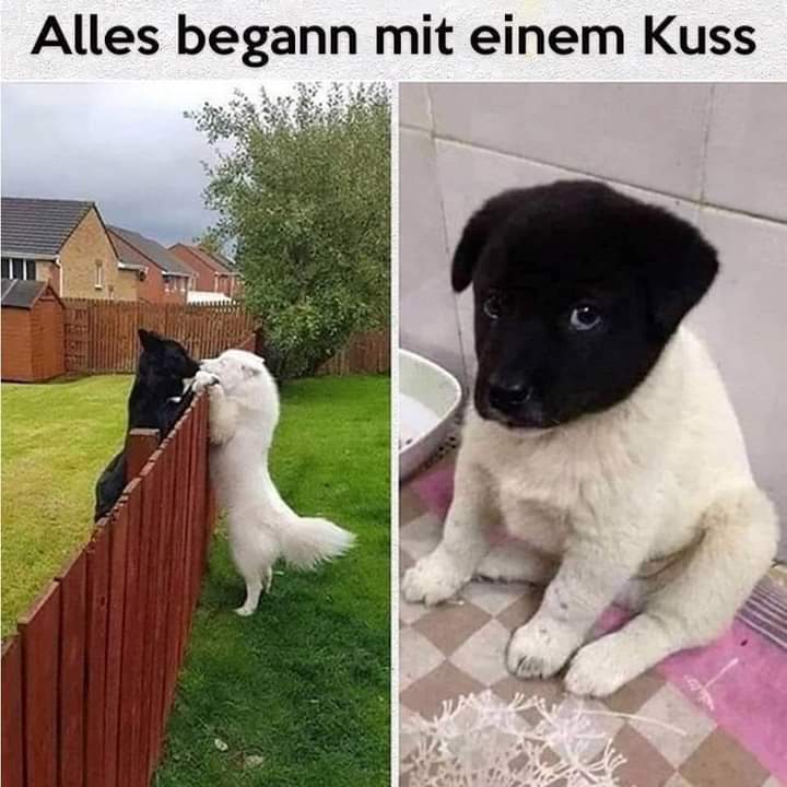 beginnen - zaczynać, rozpoczynać, wszczynać, poczynać