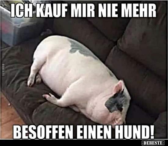 besoffen