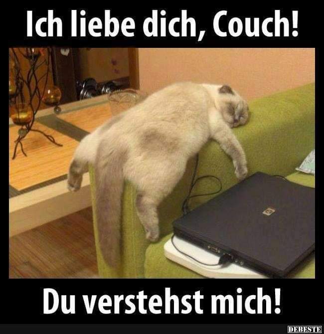 die Couch - tapczan, kanapa