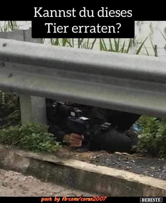 erraten - zgadywać, domyślać się