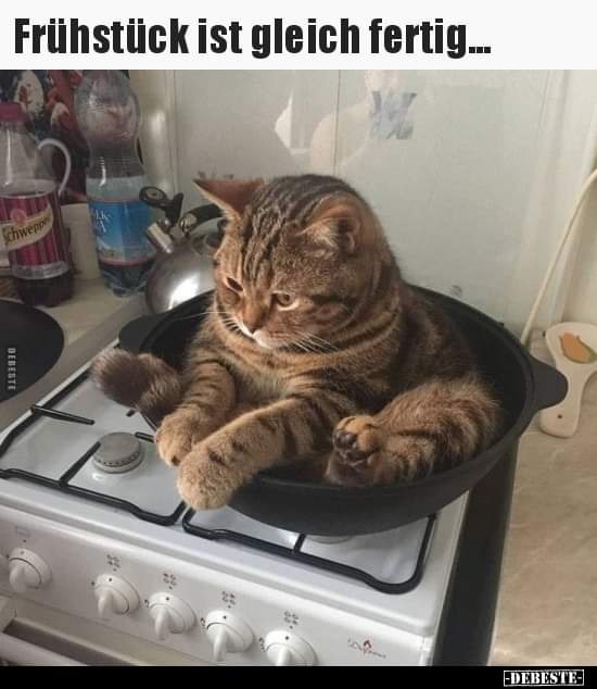 das Frühstück - śniadanie