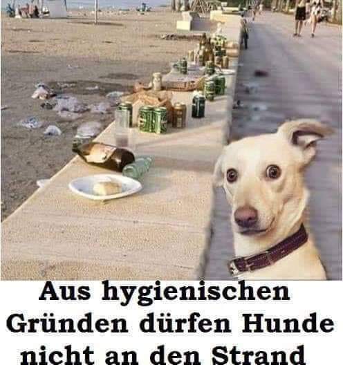 hygienisch - higieniczny, higienicznie