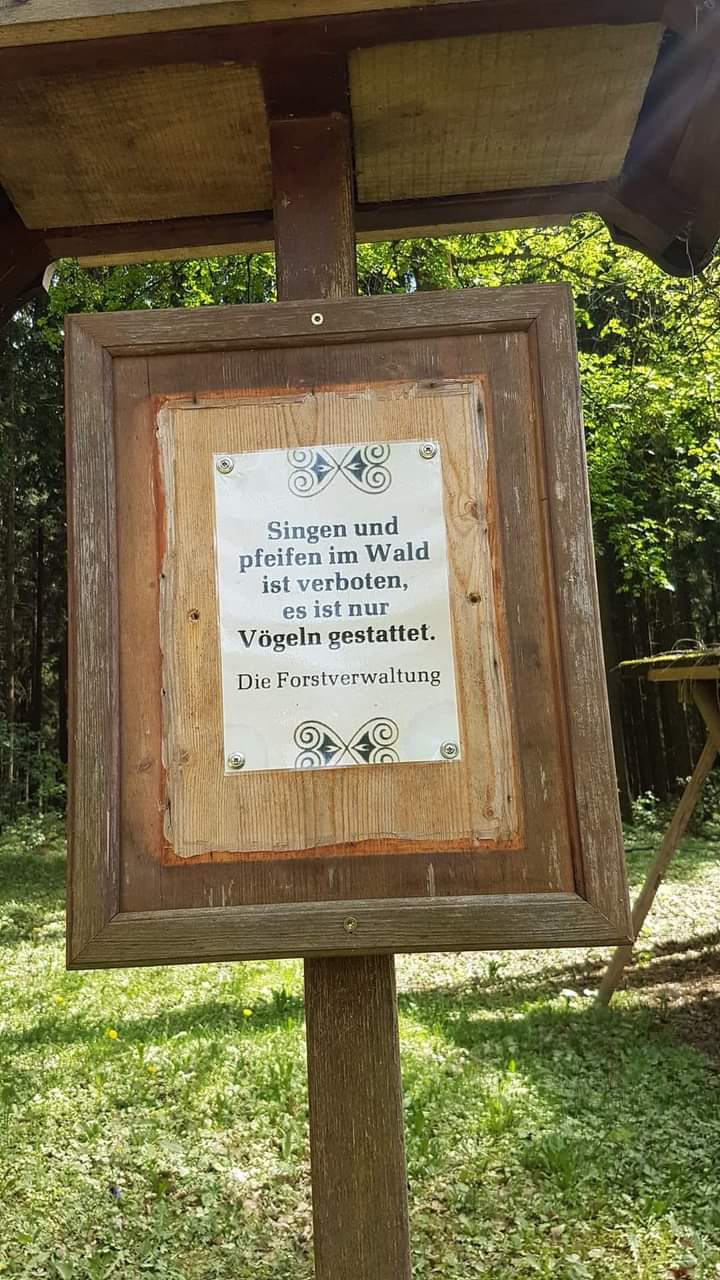 gestatten - pozwalać, zezwalać