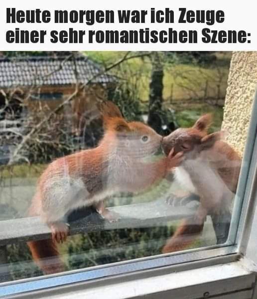 die Szene - scena, krąg, środowisko