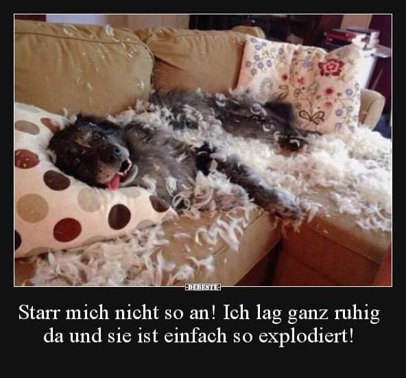 starr - sztywny, zesztywniały, stały, nieruchomy, nieugięty
