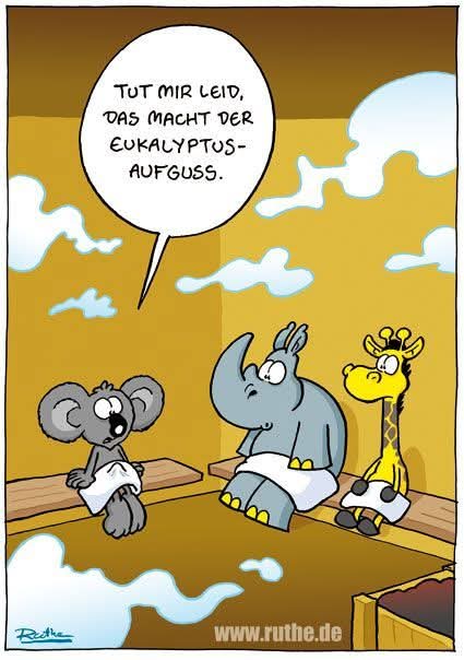 der Aufguss - napar, odwar