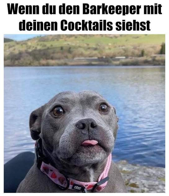 Barkeeper