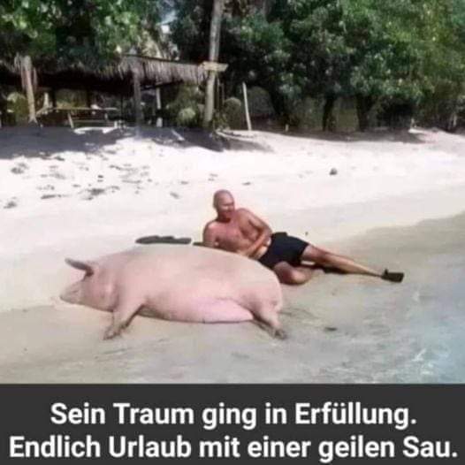 die Erfüllung - spełnienie, wykonanie, ziszczenie się
