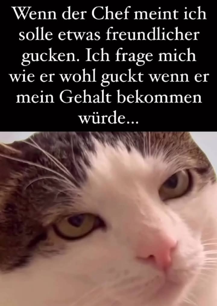 freundlich - uprzejmy, przyjazny, uprzejmie