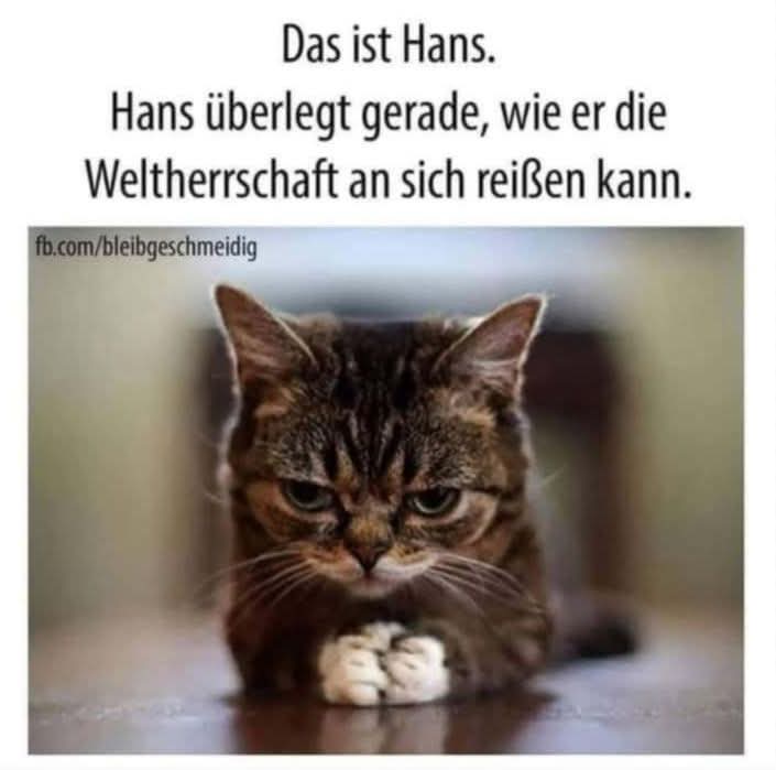 die Weltherrschaft - panowanie nad światem