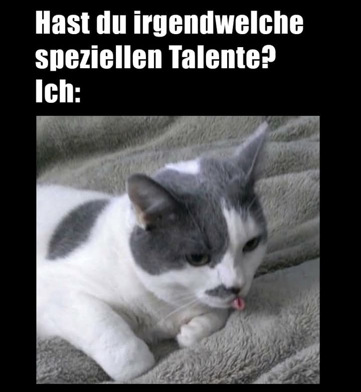 irgendwelch - jakiś, jakikolwiek