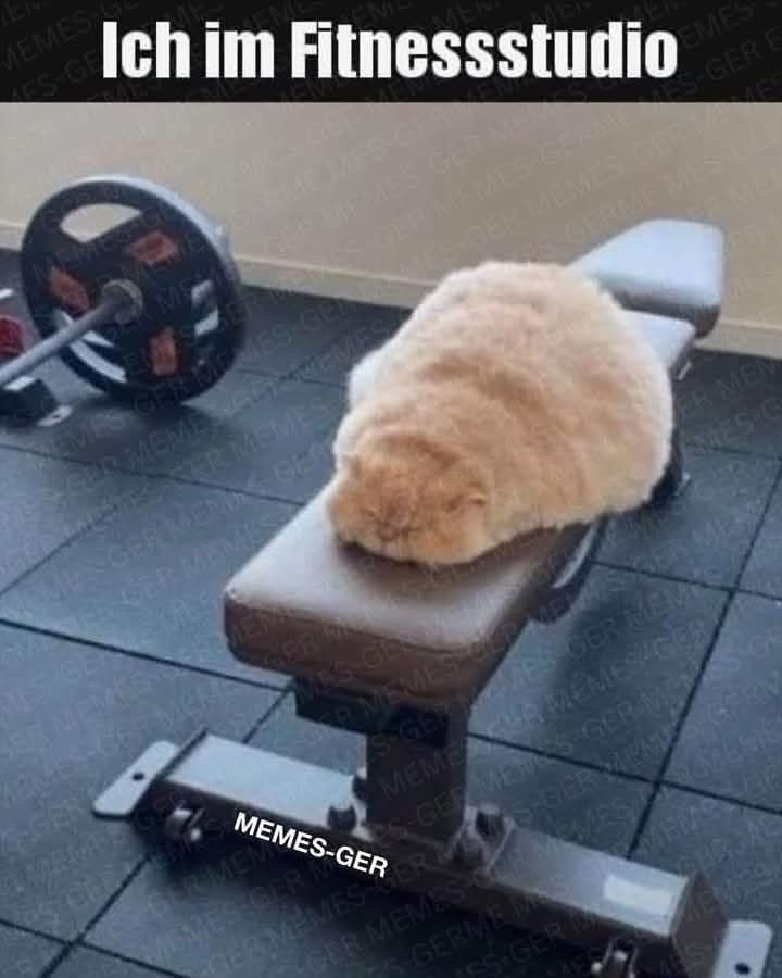 Fitnessstudio