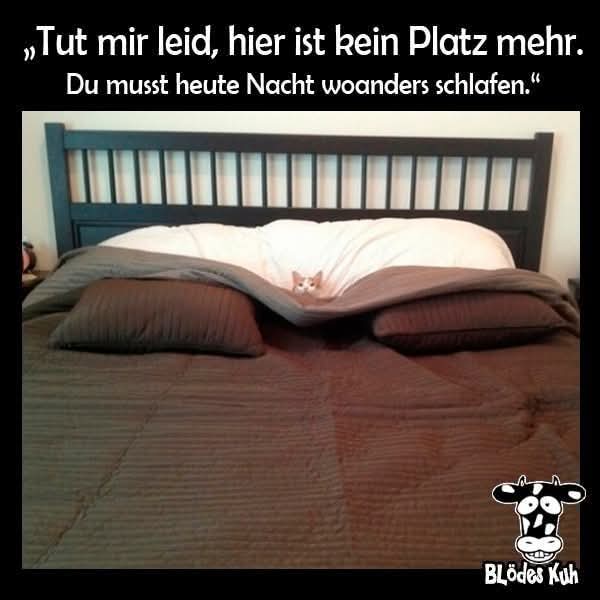 woanders - gdzie indziej