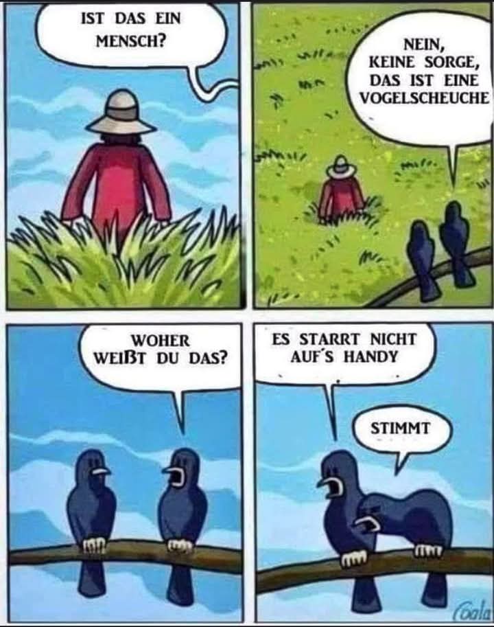 die Vogelscheuche - straszydło na ptaki, strach