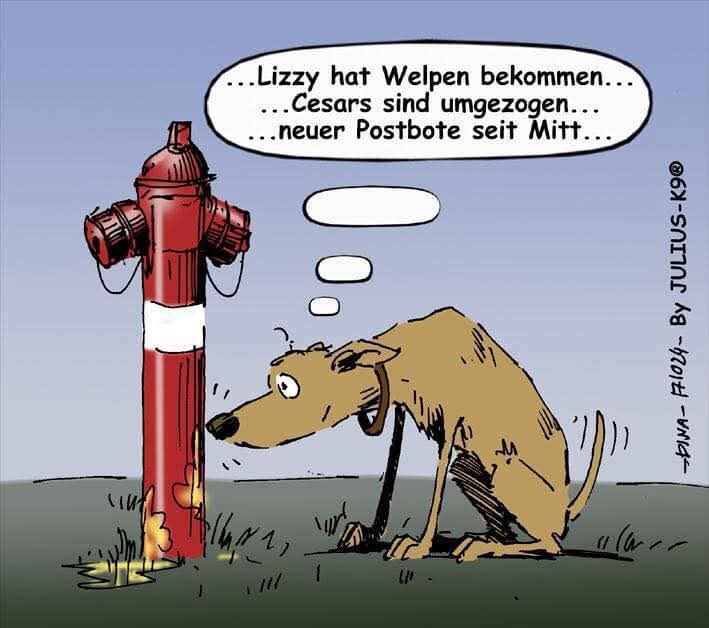 der Welpe - szczenię, szczeniak