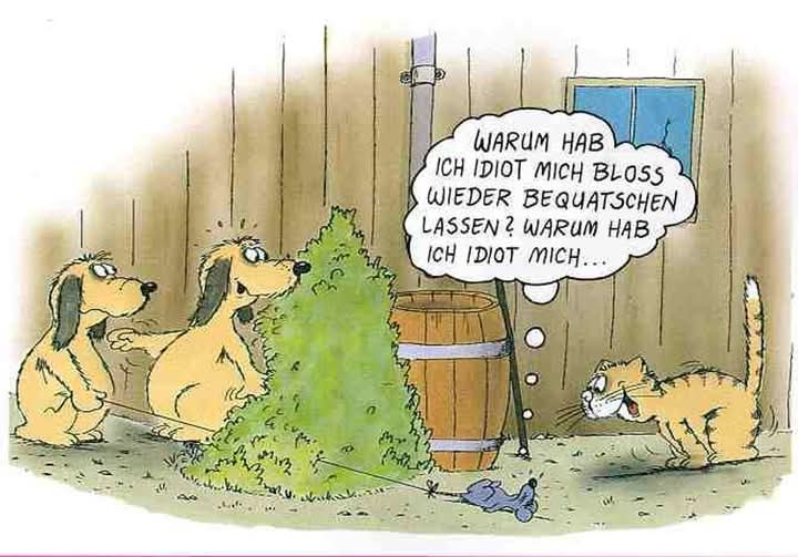 bequatschen - obgadywać, przekonywać