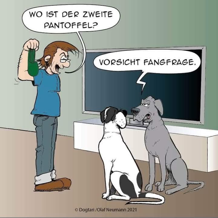 die Fangfrage - podchwytliwe pytanie