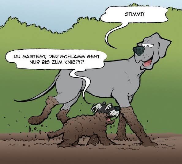 Knie