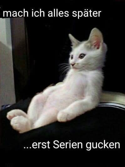 die Serie - seria, cykl, serial