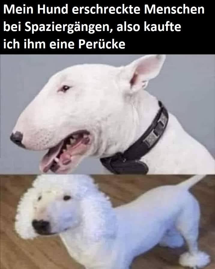 der Spaziergang - spacer