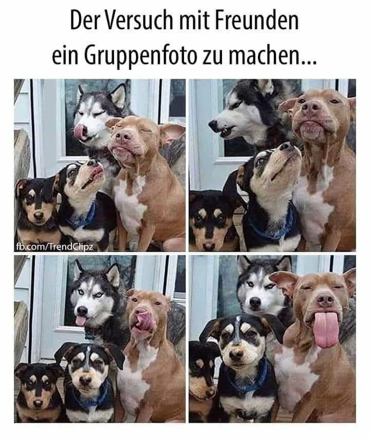 FB IMG 1741185733027
