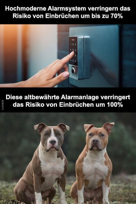 das Risiko - ryzyko