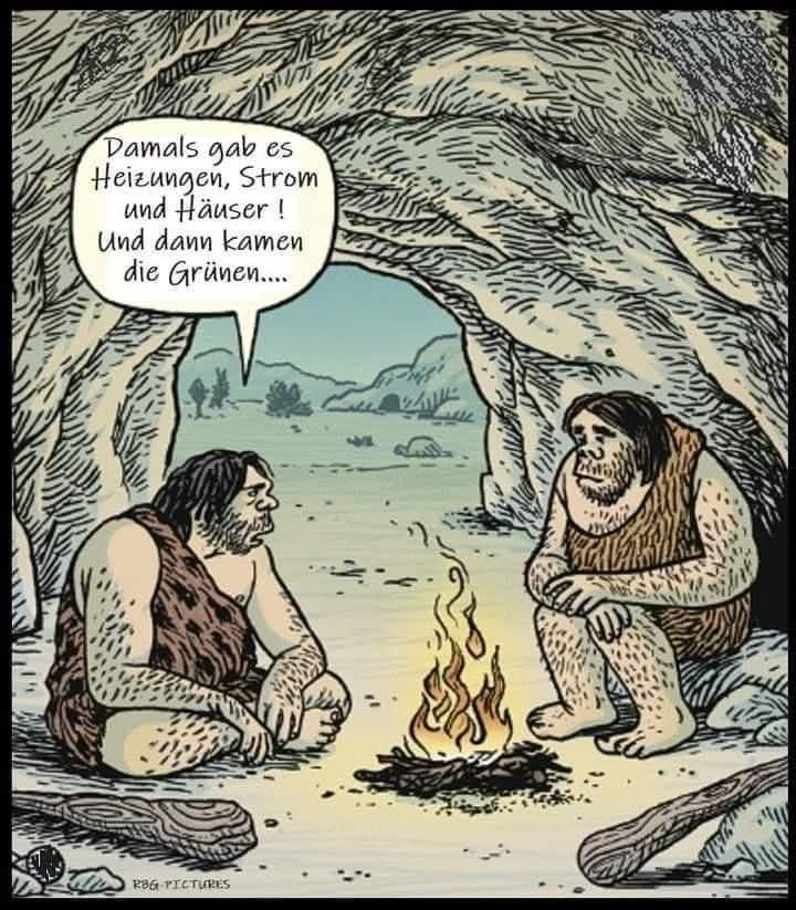 der/die Grüne - członek partii Zielonych, surówka