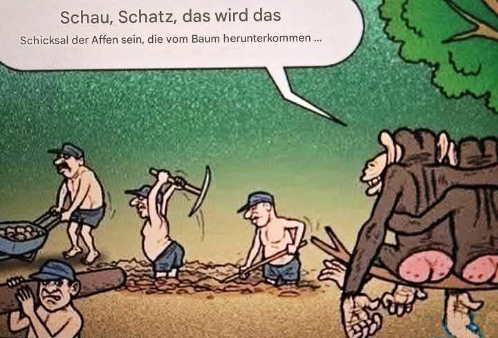 das Schicksal - los