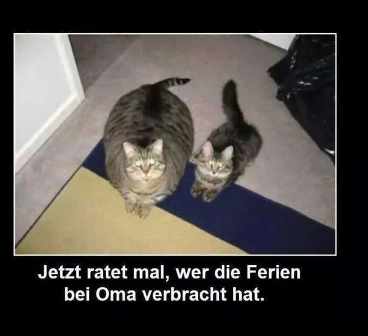 Ferien - wakacje, ferie, wczasy