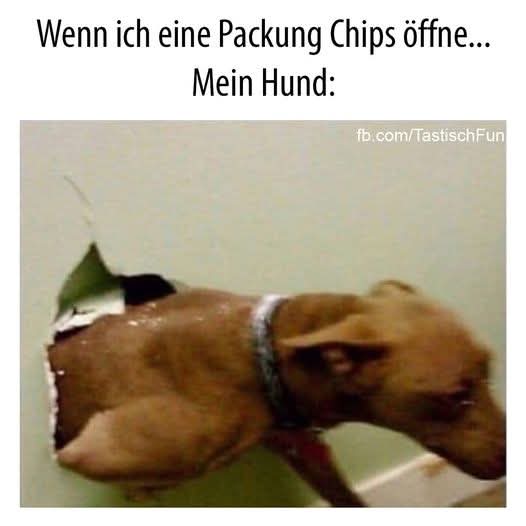 die Packung - opakowanie, paczka, wielka przegrana