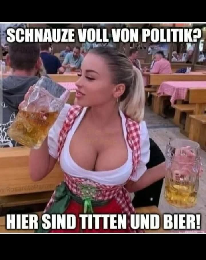 die Politik - polityka