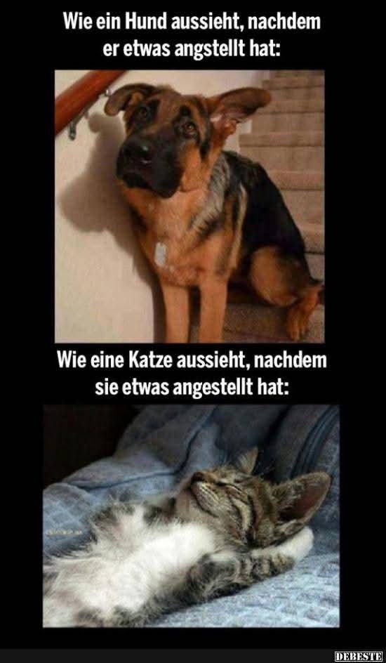 FB IMG 1741413207867