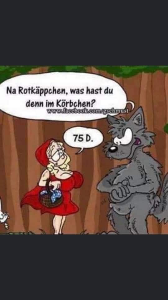 das Körbchen - koszyk, koszyczek