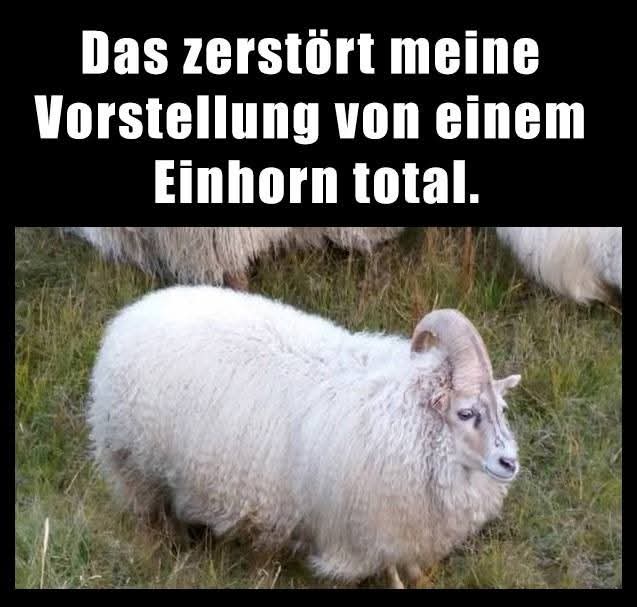 die Vorstellung - przedstawienie, prezentacja, pokaz, wyobrażenie