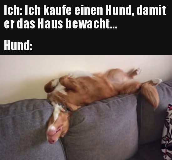 bewachen - pilnować, strzec