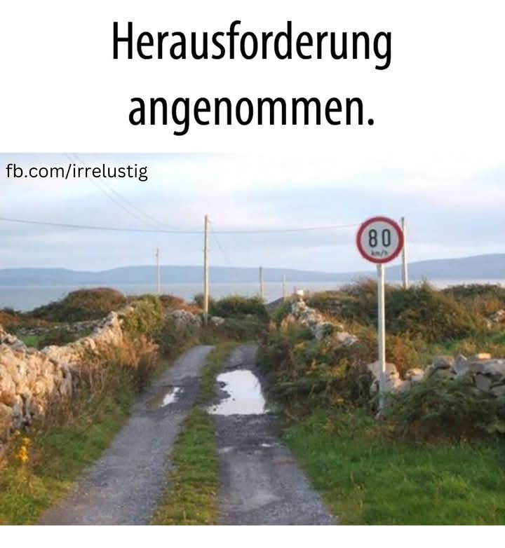 annehmen - przyjmować, przypuszczać, zatwierdzać