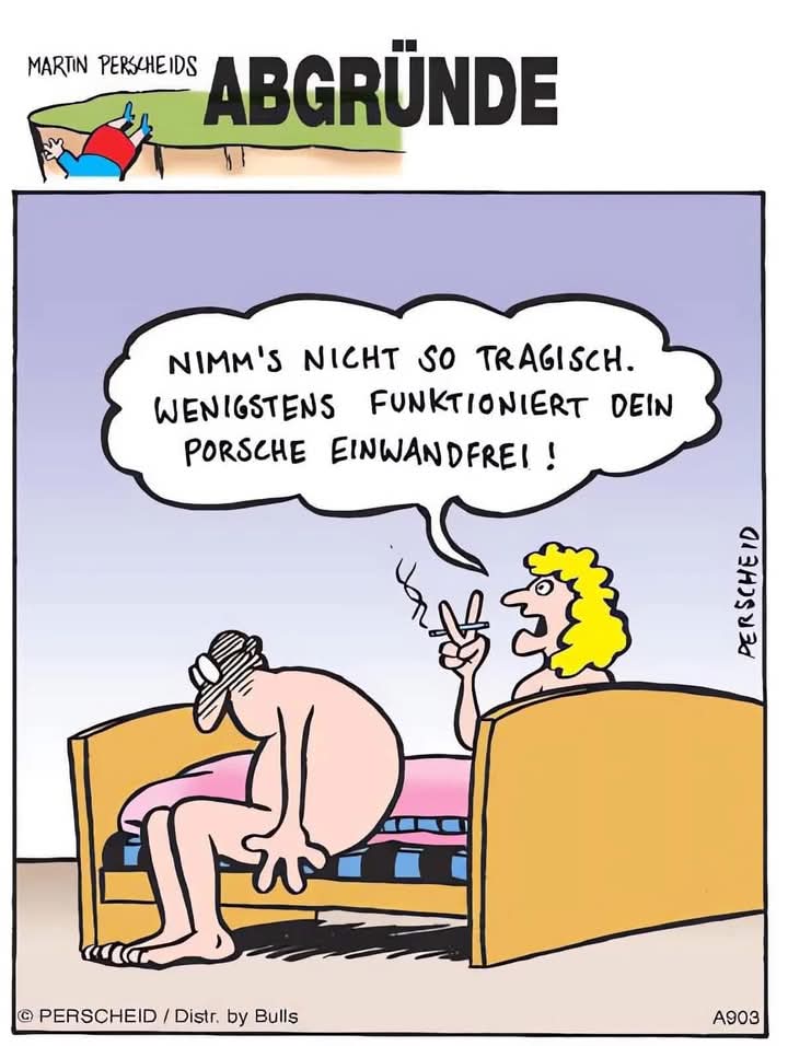 einwandfrei - nienaganny, bez zarzutu