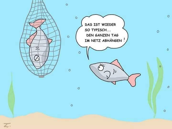 das Netz - sieć, siatka na zakupy