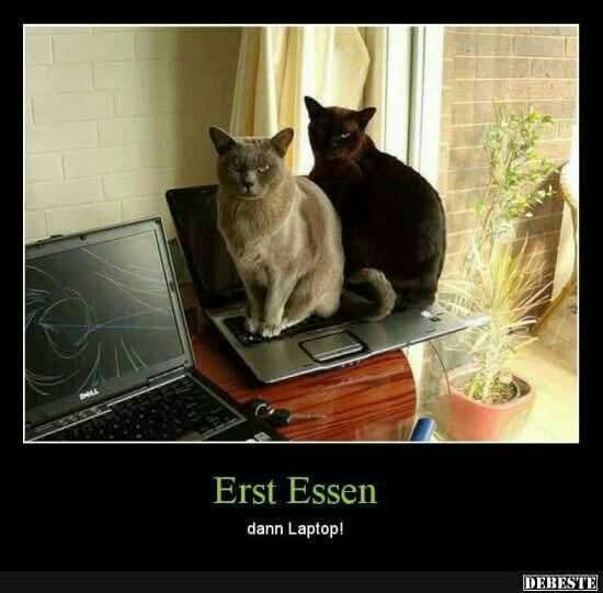 der/das Laptop - laptop