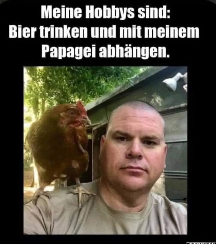 der Papagei - papuga