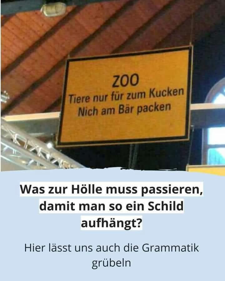 der Bär - niedźwiedź
