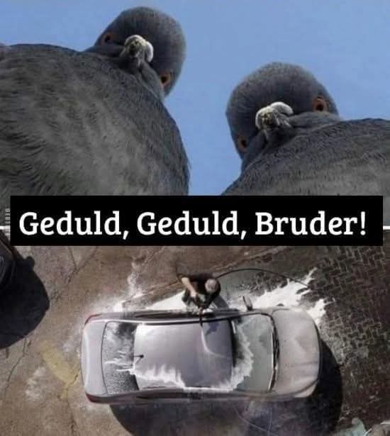 die Geduld - cierpliwość
