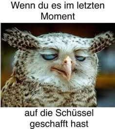 die Schüssel - misa, miska, salaterka