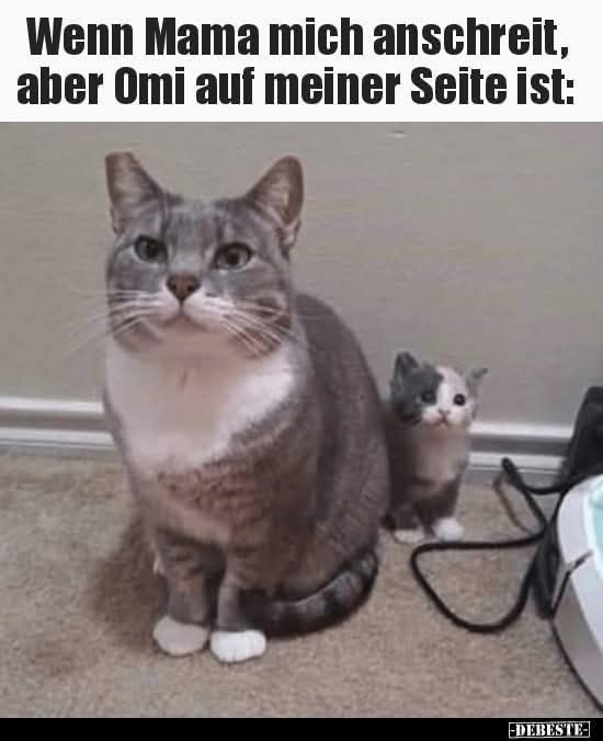 anschreien
