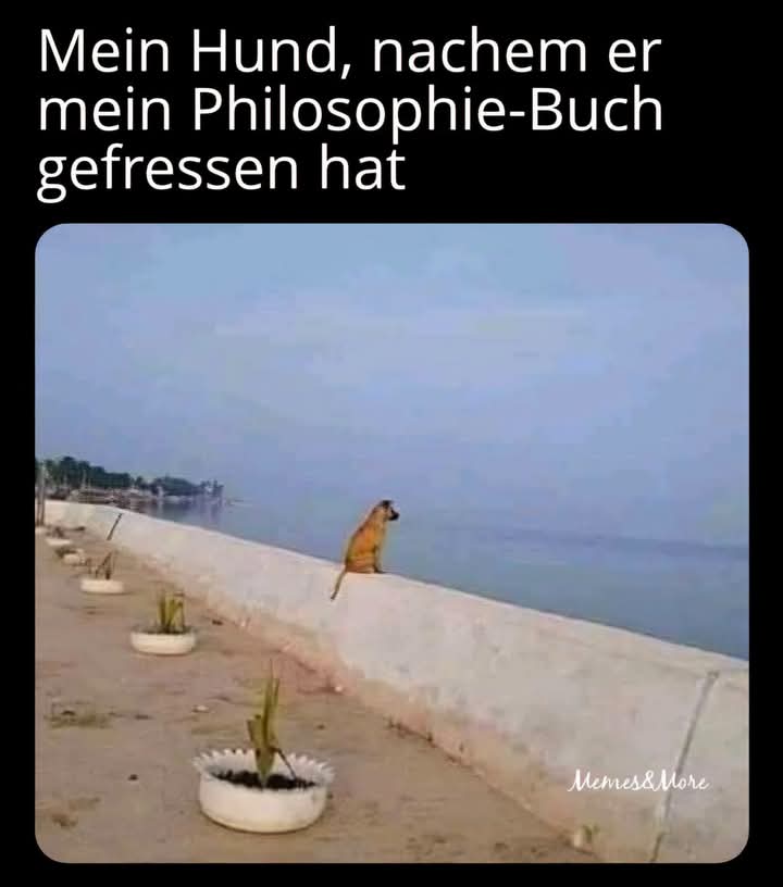 die Philosophie - filozofia