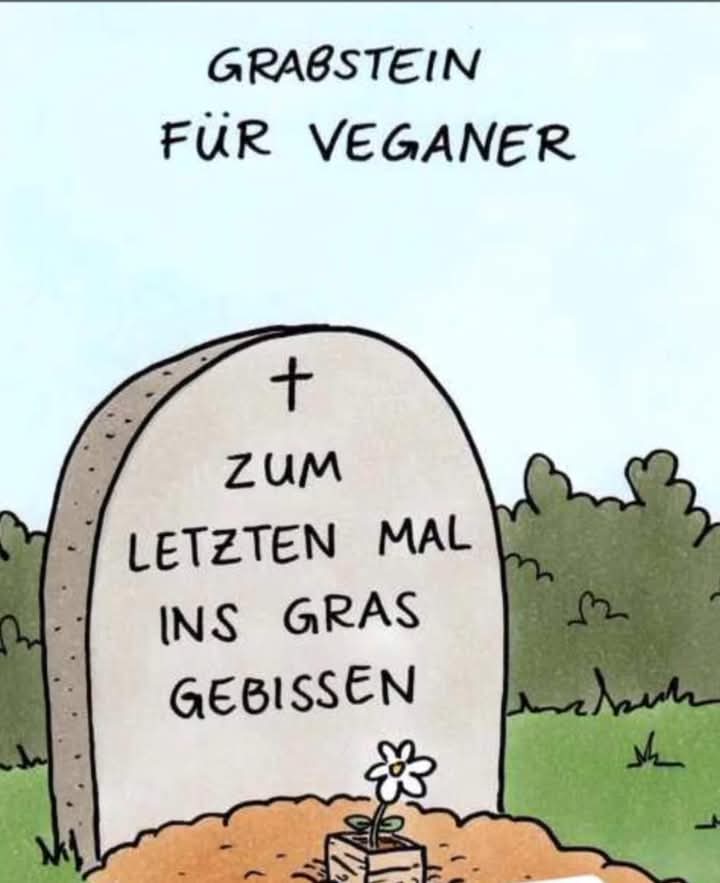 beißen - gryźć, kąsać